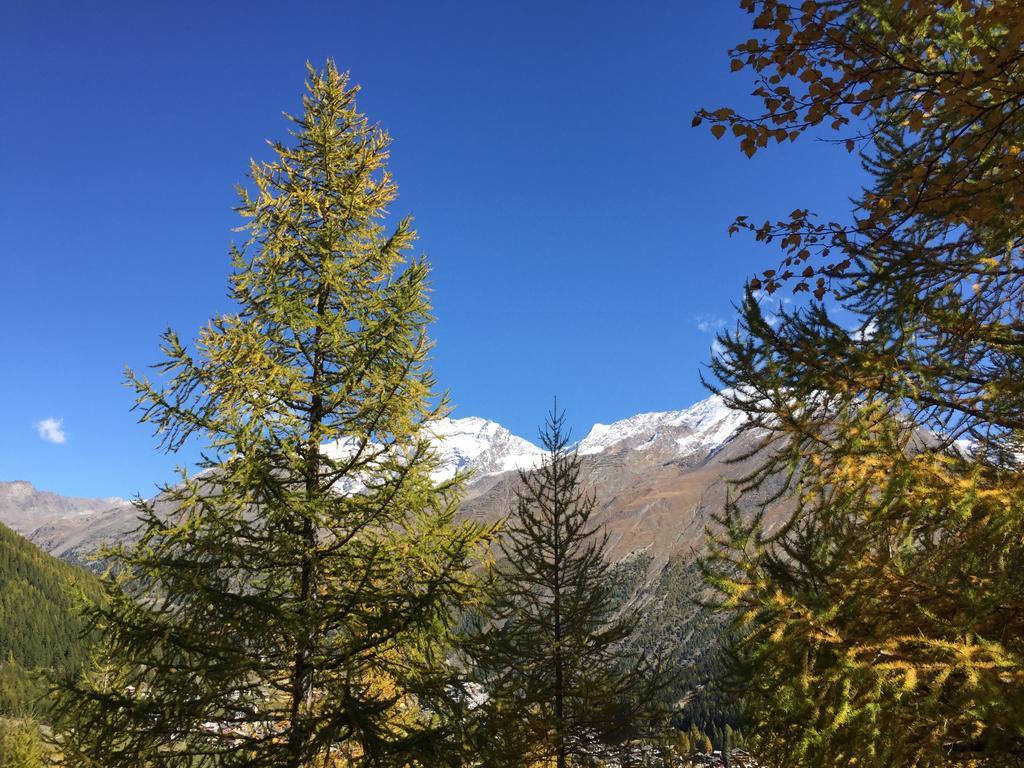 Elite Alpine Lodge - Apart & Breakfast Saas Fee Εξωτερικό φωτογραφία